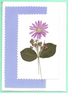 ESTITKA SUHO CVETJE 033