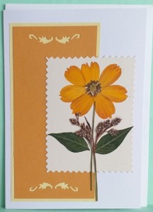 ESTITKA SUHO CVETJE 103