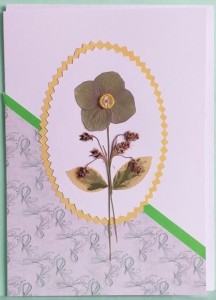 ESTITKA SUHO CVETJE 119