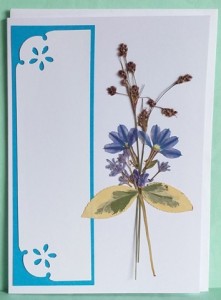 ESTITKA SUHO CVETJE 042