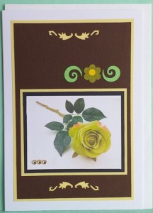 SOALNICA 017