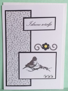 SO�ALNICA 027