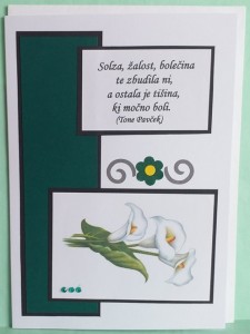 SO�ALNICA 036