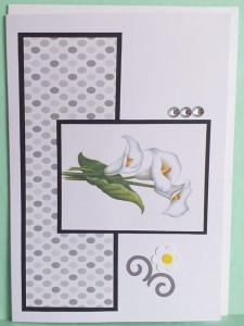 SO�ALNICA 043