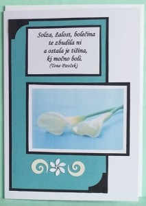 SOALNICA 046