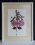 SLIKA SUHO CVETJE 006 16X21 CM