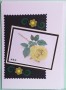 SOALNICA 012